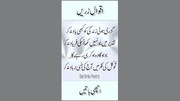 Aqwal e zareen short video|#aqwalezareen #quotes #shortfeed