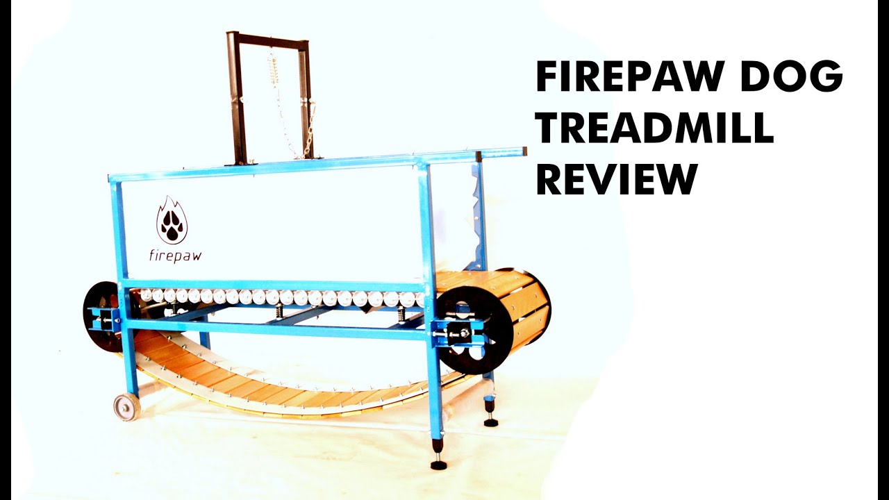 Firepaw Phoenix Dog Treadmill Slatmill 