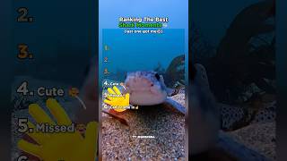 Ranking The Best Shark Moments EVER