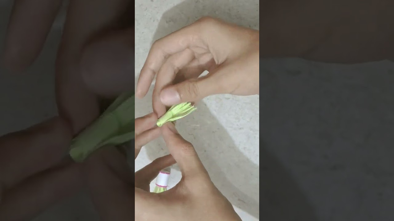 mini paper plant pot 