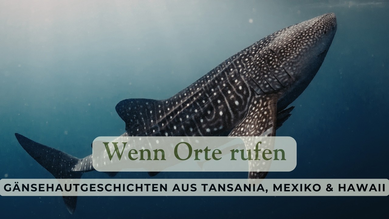 Wenn Orte rufen – Gänsehautgeschichten aus Tansania, Mexiko & Hawaii