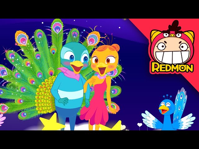 Peacock song | Animal songs | Nursery rhymes | REDMON class=