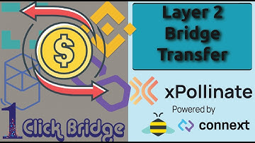 Transfer Funds From Polygon, BSC, FTM, Gnosis, Avalanche, Moonbeam W/ Xpollinate | Cheap Tx | 2021