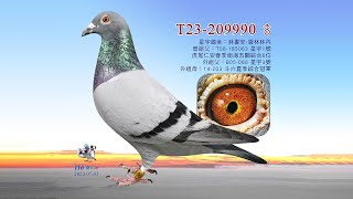 【林書安】T23-209990