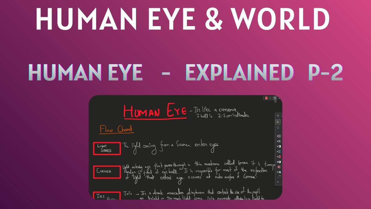 Human Eye Explained in 16 Minutes