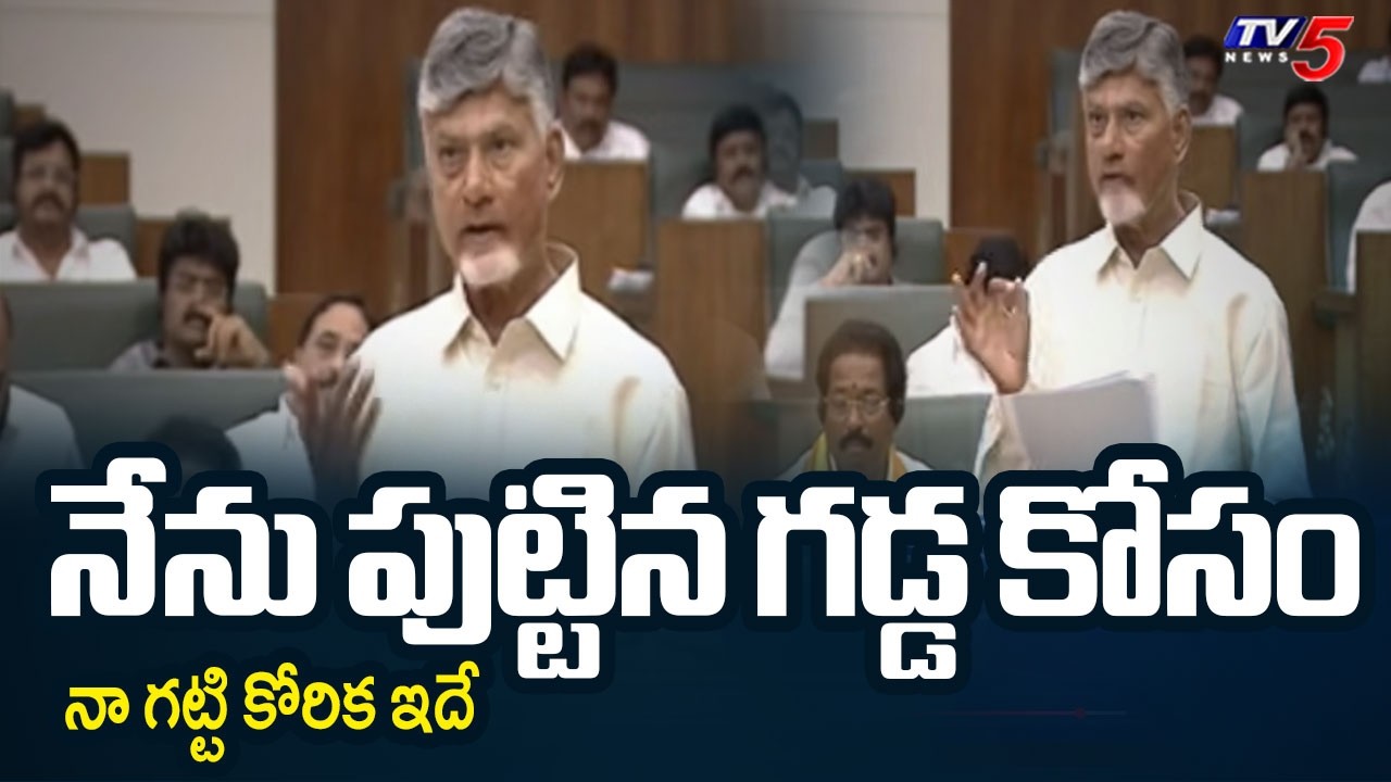 CM Chandrababu Interesting Comments In AP Assembly | Irrigation Projects || TV5 News