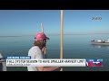 Second Apalachicola Bay oyster harvest will be smaller than first, wildlife commission says