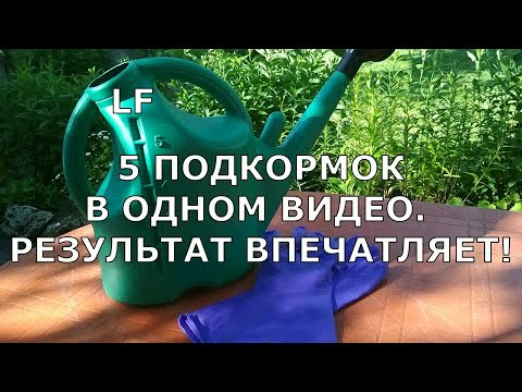 Подкормки для растений без химии : дрожжи/картофельные очистки/скорлупа/банан.корки и т.п/