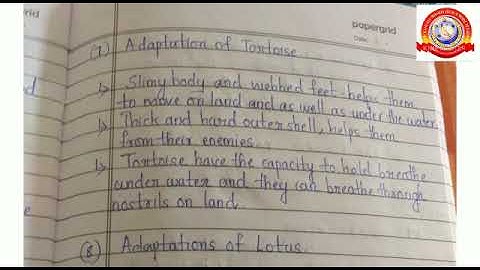 Standard 4 Evs Chapter 1 Notes Fields and Forests.