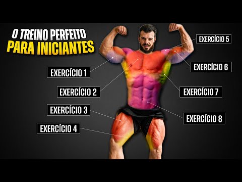 TREINO FULL BODY COMPLETO (TODOS EXERCÍCIOS EXPLICADO)