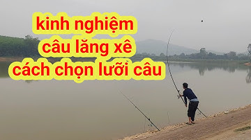 Chia sẻ kinh nghiệm câu lăng xê , cách chọn lưỡi câu lăng xê tự dính cá, hiệu quả #caulangxe