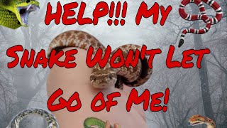 Help! My Snake Won't Let Go of Me! Profile