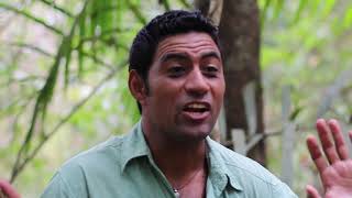 Jaguares en Panamá: Nuestra lucha. Educación ambiental-Turismo sostenible