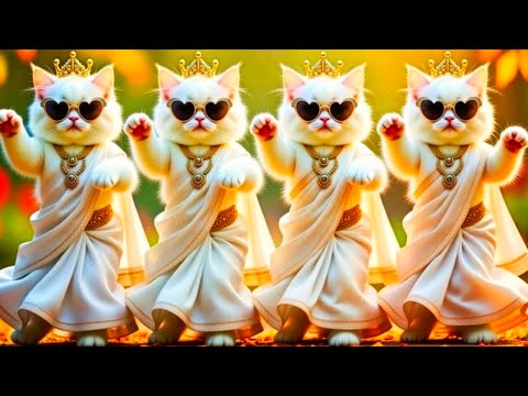 बिल्ली का डांस | Cutest Cat videos funny dance🤣💃Dance Videos for cats #funny​ #dancingcat​ #cat​ 