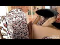 اجمل روتين  تعالوا يا حبايب قلبي شوفوا عملنا فيه ايه و كملوا الفيديو للأخر ان شاء الله يعجبكم