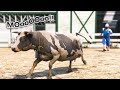 Poor Cow ESCAPES the Slaughterhouse!! (GTA 5 Mods)