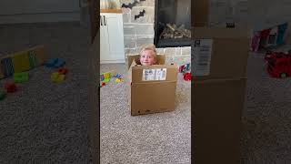 Ollie’s an Amazon package