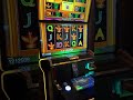 ЛЕТАЮЩИЕ ЖУКИ В Book of Ra #хозяинказино #slot #дорогойлудник