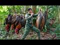 Deep Forest Survival: Finding Wild Chicken Trails & Fishing in Streams