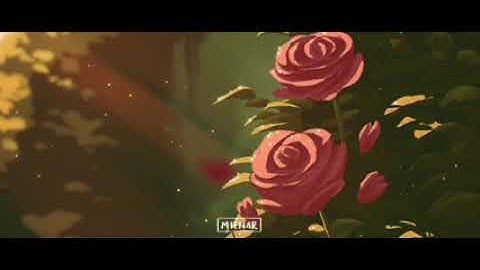 (92) سورة الليل | مشاري العفاسي مع صوت المطر