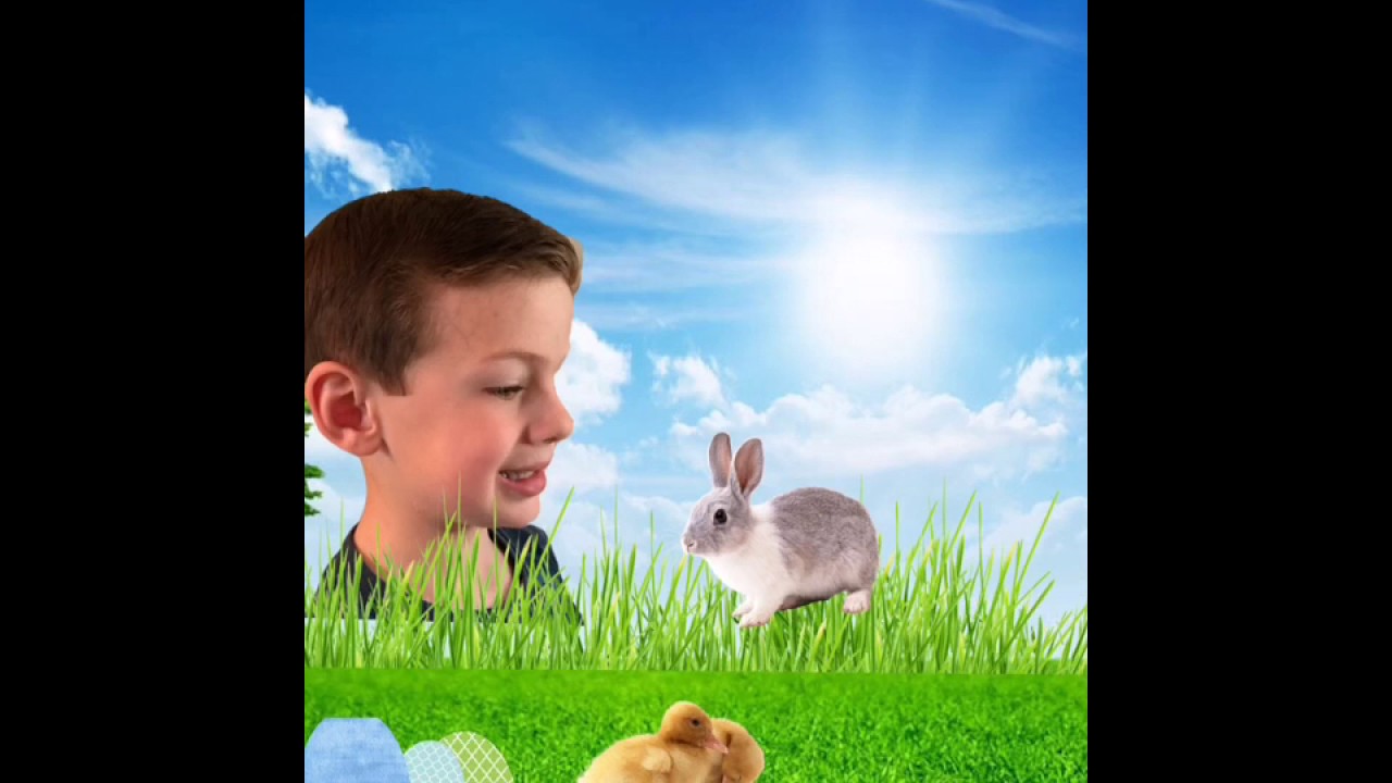 Made by SlideStudio on Appstore