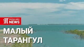 Большой аппетит Малого Тарангула