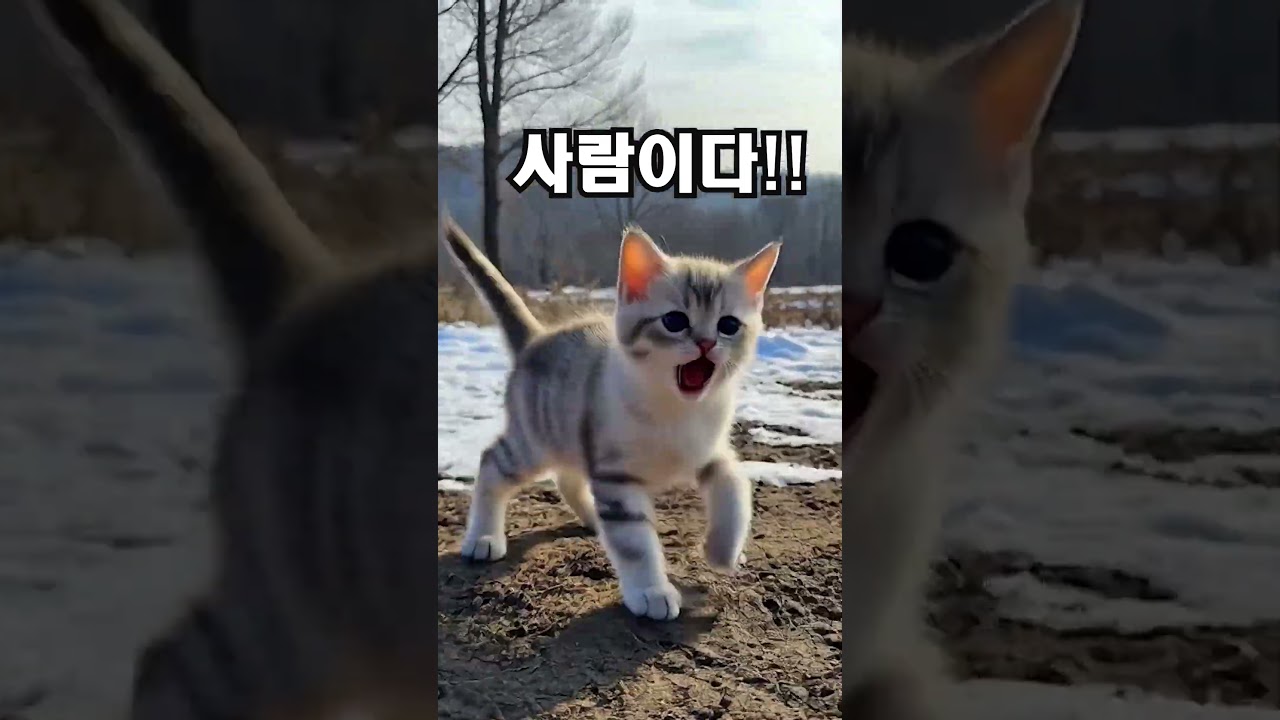 전주 아중호수, 그 차가웠던 기억..(하이라이트)❄️ [모양과모지] 4K Shorts Ver.(Highlight)