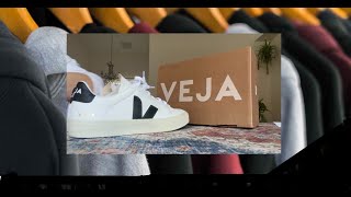 Veja Designer Shoe Sneaker Review Is It Worth The Investment?