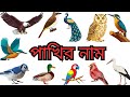 100 Birds Names//পাখির নাম বাংলা এবং ইংরেজীতে// Birds Name With pictures in Bengali and English