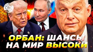 Орбан заявил, что встреча Путина и Трампа в Будапеште повысит шансы на мир