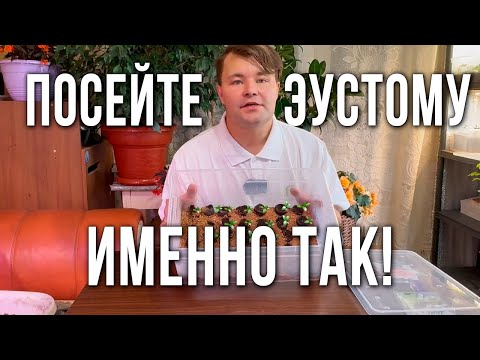 Два способа посева