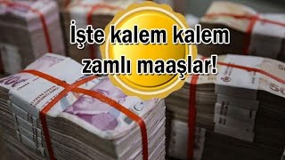 Hangi Memur Kaç Para Maaş Alacak? İşte Kalem Kalem Zamlı Doktor Polis, Öğretmen, Hemşire, Avukat, Ka