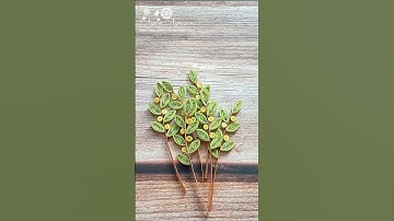 Quilling Leaf Tutorial _ Part 1 #shorts