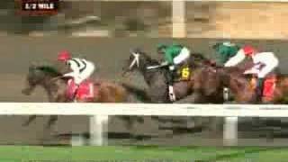 2008 Hollywood Gold Cup