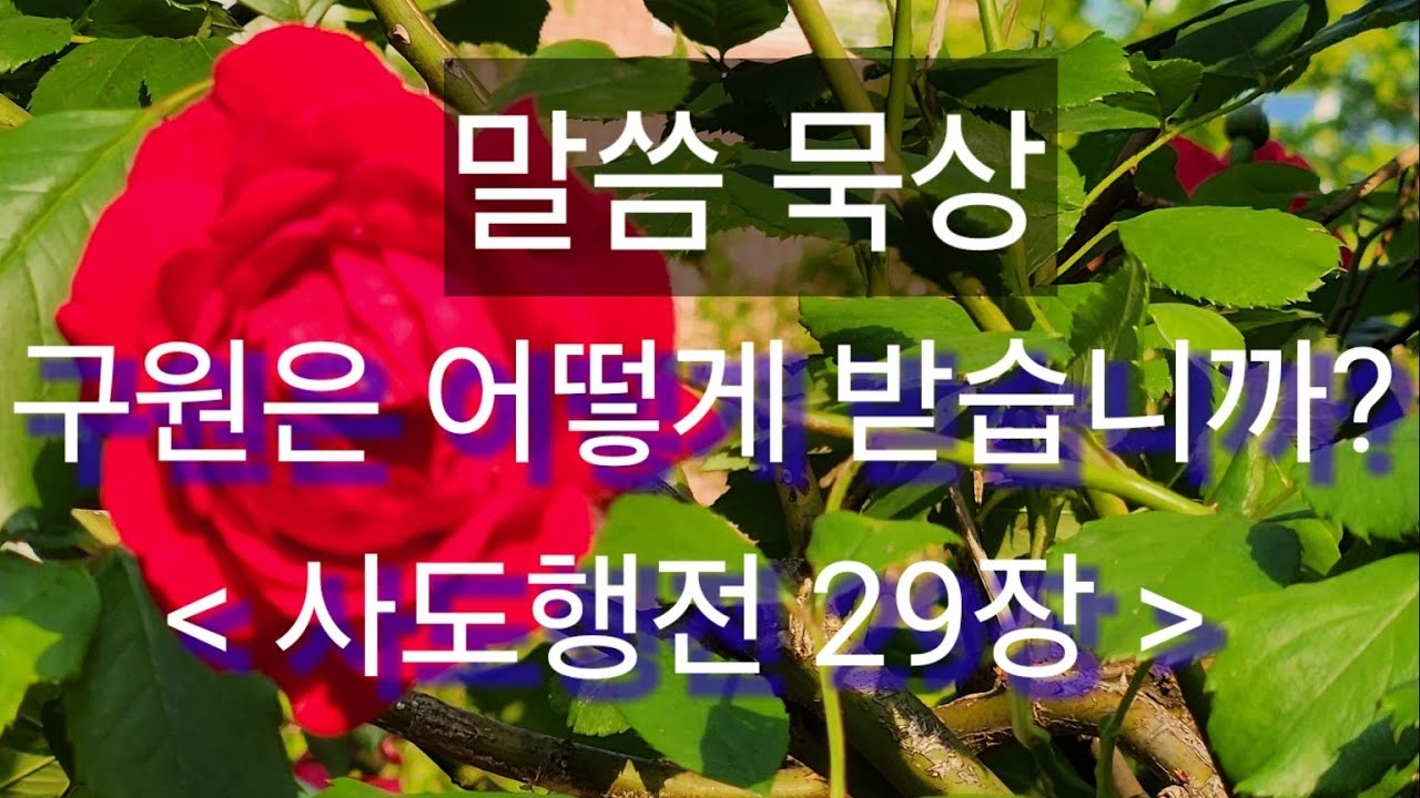 How Do You Receive Salvation How Do You Receive Salvation