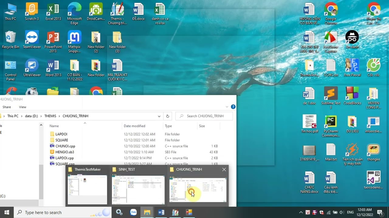 TIỆN ÍCH TẠO BỘ TEST, QUẢN LÝ INPUT CHO PHẦN MỀM THEMIS