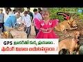 కుక్కకు GPS TRACK పెట్టి వదిలిన వీడియో..| Kakinada Jahnavi Missing Case | #idream