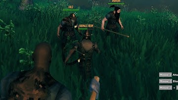 The one friend who keeps disconnecting (Valheim)