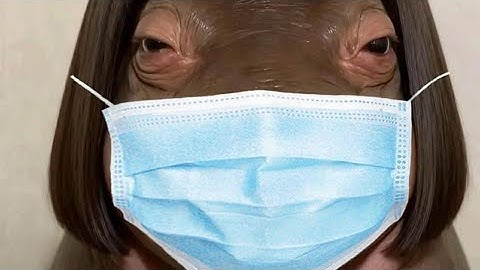 lợi dụng bão lụt để kích động lòng dân chất mẹ nấm 🍄 Nguyễn ngọc như quỳnh có tổ chức