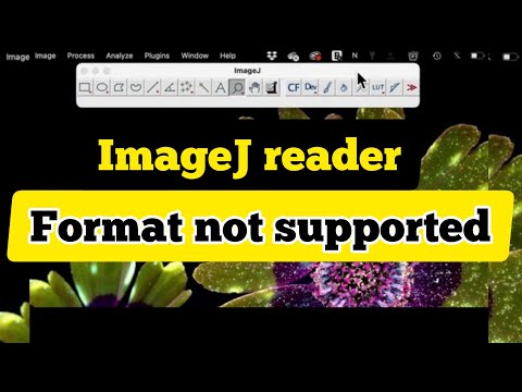 How to install ImageJ reader plugin| open Leica microscope file with imageJ| reader plugin not found