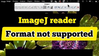 How to install ImageJ reader plugin| open Leica microscope file with imageJ| reader plugin not found