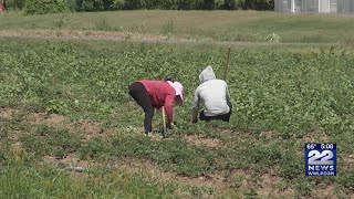 MA lawmakers want to increase wages and give paid sick time to farmers