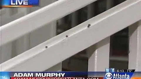 Kudzu Bugs: Prevention & Control by Arrow Exterminators in Atlanta, GA