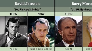 The Fugitive 19631967 Then And Now 2024 How They Changed?