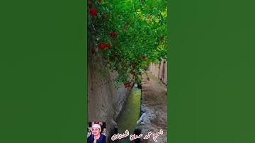 #المنشاوي #قرآن #تلاوة_هادئة #قران_كريم #قرآن_الصباح