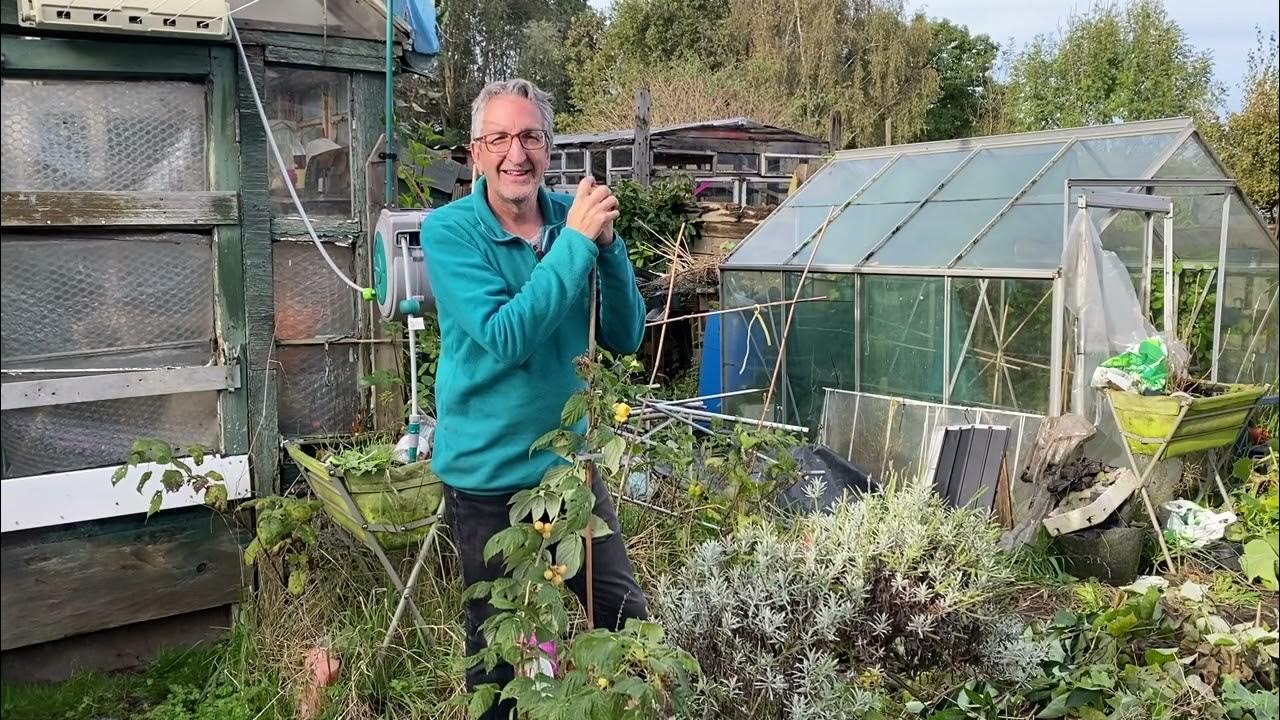 The clocks have gone back and it's time to clear and tidy getting ready