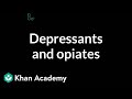 Psychoactive drugs: Depressants and opiates | Processing the Environment | MCAT | Khan Academy