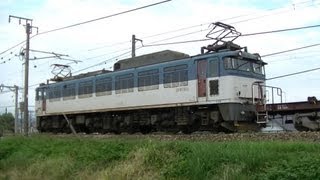 希少になったEF81 JRFオリジナル501号機 高速貨物3097レ