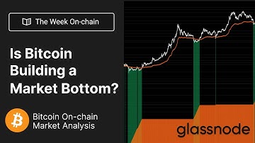 The Week On-chain - Is Bitcoin Building a Bottom? - Week 29, 2022 (Bitcoin Onchain Analysis)