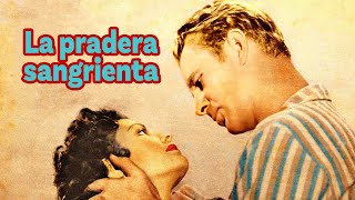 La pradera sangrienta  (en español) Western | Sterling Hayden | Link below for English version